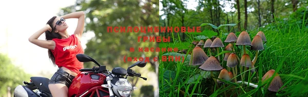 гидропоника Елабуга